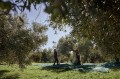 Sellas october_Web Size_SBouzoukas_80.jpg